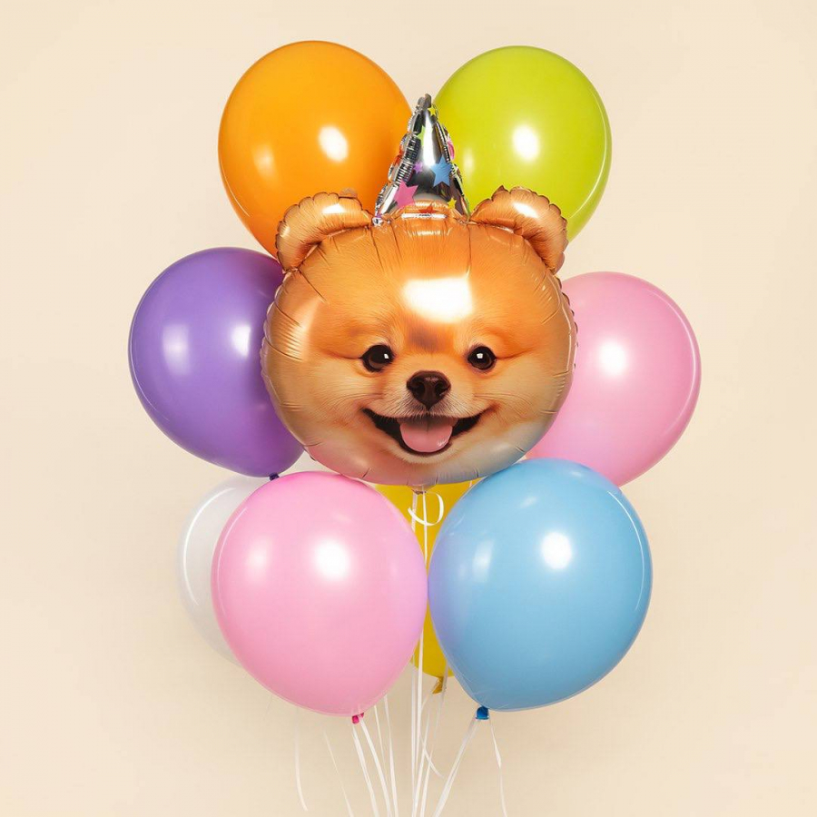 Букет из шаров «Щенок в колпаке»